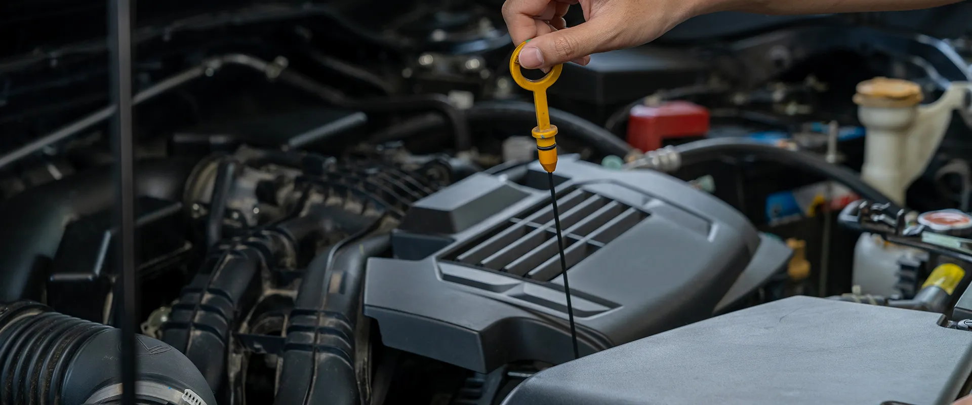 Oil Change near St. Louis, MO
